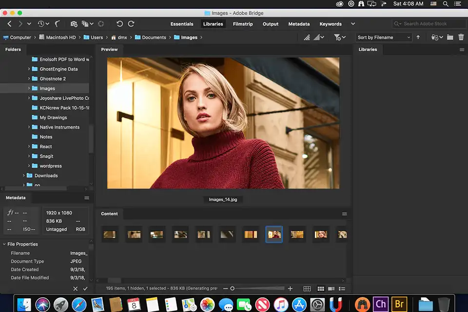 Adobe Bridge 2026 16.0.8.10